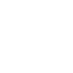 Wefox Logo