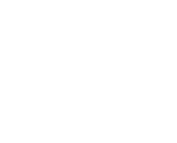 Wiener Verein bei LNR